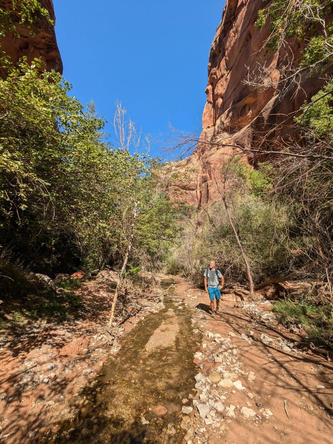 Spring Creek Canyon
