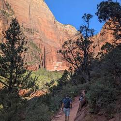 Hike to emerald pools