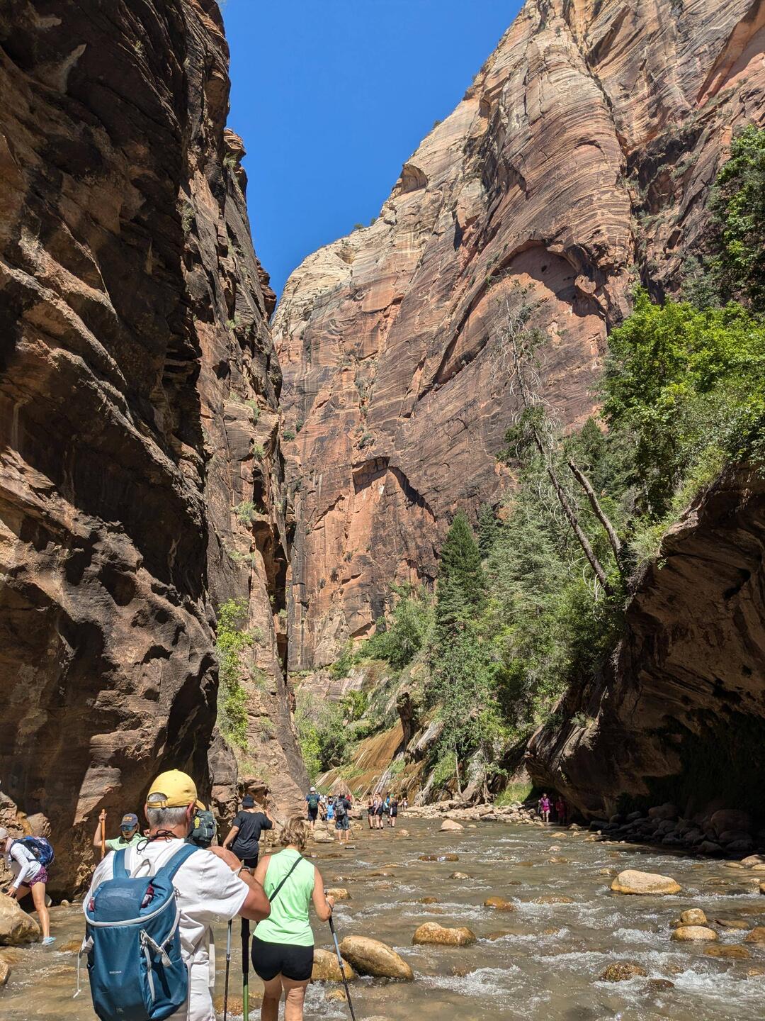 The Narrows, hiking in the river through a canyon