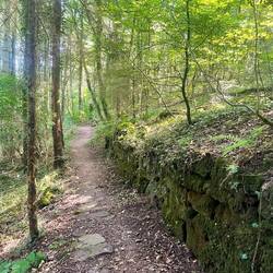 There's hiking trails starting right at the campground :)