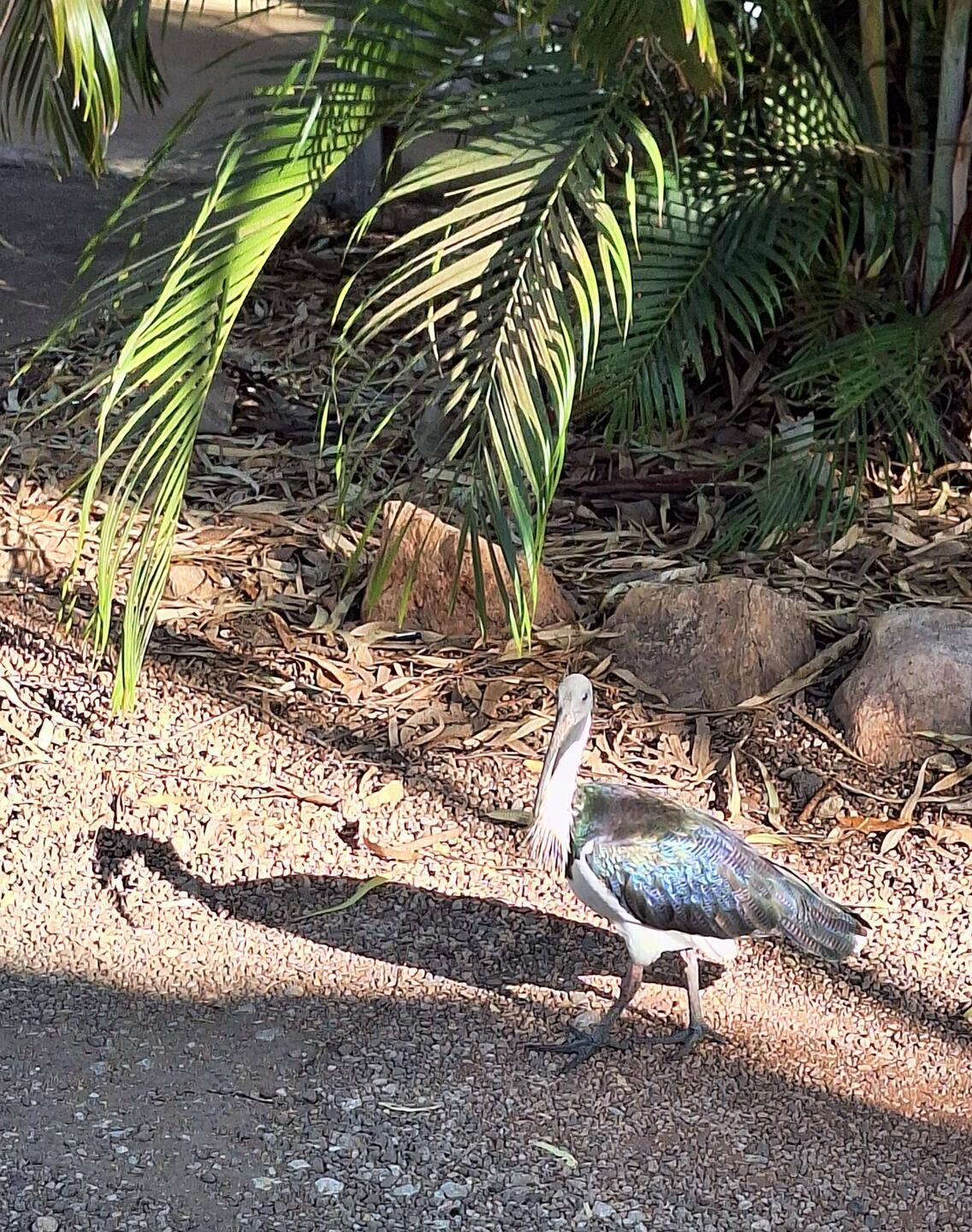 Morgenbesuch