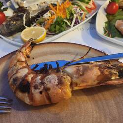 One of the large shrimp