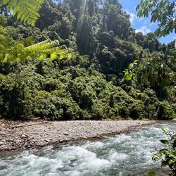 Der Blick über den Fluss auf den riesigen tropischen Regenwald war einfach magisch