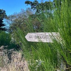 auf dem Weg nach Great Broughton