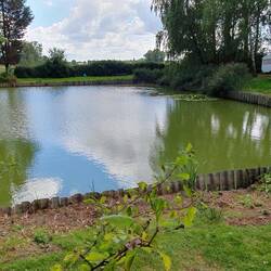 Auf dem Campingplatz ein kleines Biotop