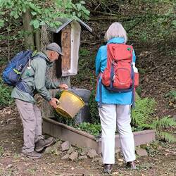 Herbert gießt das Soldatengrab