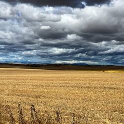 Mountains appeared in the distance away to the right of the road