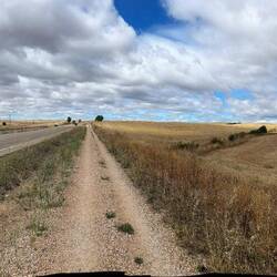 Still endless fields and skies, here on the roadside path