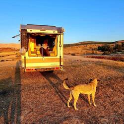 Wieder 3 Platz Wuffis