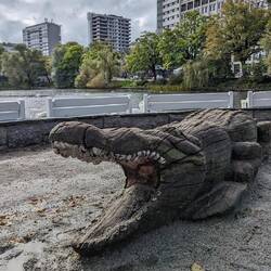 Keine Ahnung warum das Krokodil da war🤣🙈