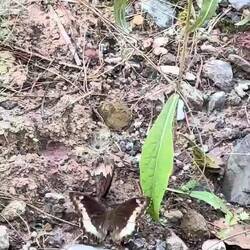 Öhm was machen die da?