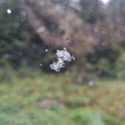Schnee in den Dolomiten