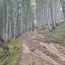 The photo doesn't do any justice to how steep and treacherous the decent from the Leopolder pass was.