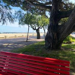 Loved the bright red benches everywhere.
