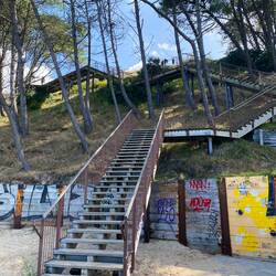 Steps down to the Dunes du Pilat