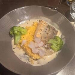 Merlu (Hechtdorsch oder Seehecht).