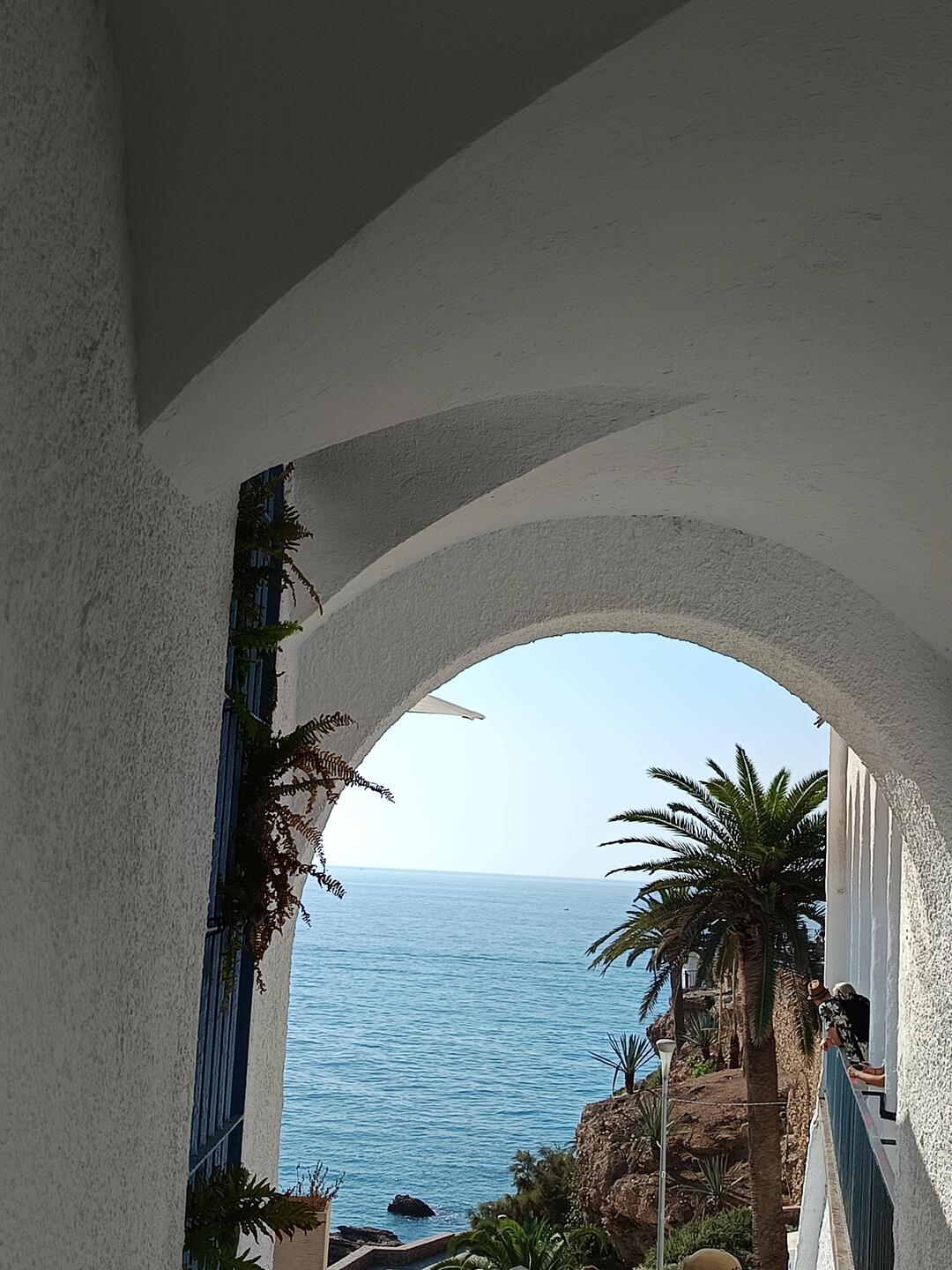 Neja sur la costa del sol☀️