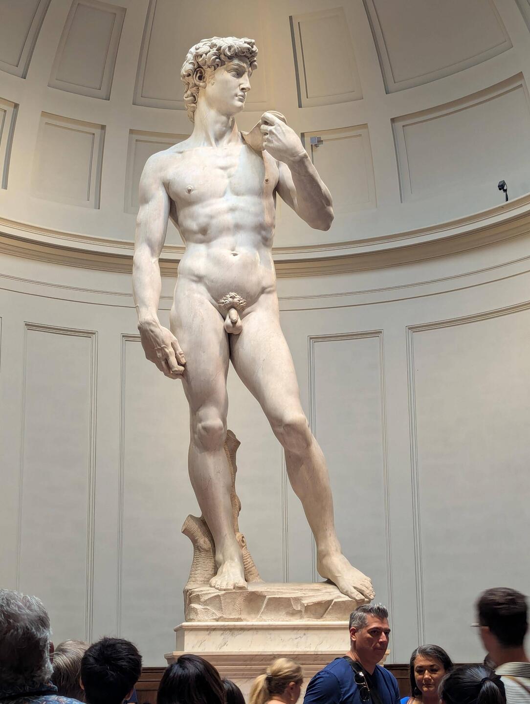 David