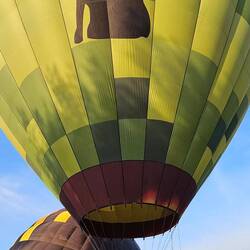 This balloon is The Jackalope.