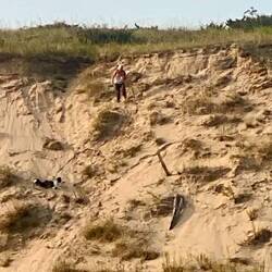 I climbed up twice