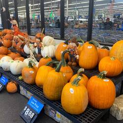 Getting ready for Halloween