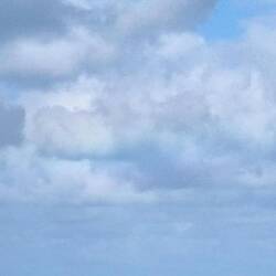 Eine bunte Wolke, da sich die ein 🌈 darin verirrt hat. Auf dem Foto leider nicht so gut zu erkennen