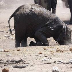 mir hend üs au gfragt, was er macht