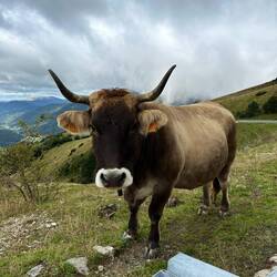 Wat...... wer bist du denn😂