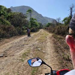 Being lead into the jungle