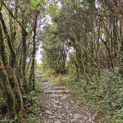 Zum Gipfel geht's noch höher