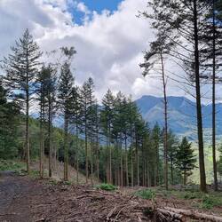 Den Hang teilen sich die Mountenbiker, Wanderer, Skifahrer,...
