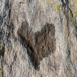 Was für ein Tag 💚