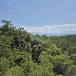 Landschaft Indonesiens vom Zug aus