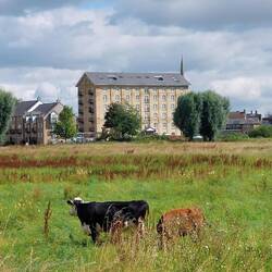 View of St Ives from the path