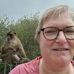 Attention je t'ai à l'œil 🙃