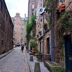 Danielle walking up our most interesting street