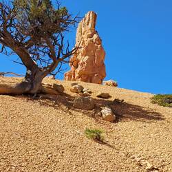 Sieht aus wie ein Indianer😄