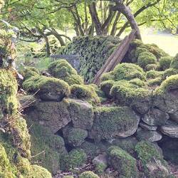 Ohne Moos,nix los...😂🤣