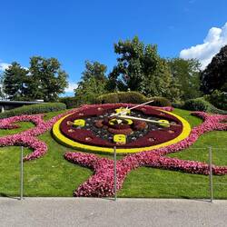 A working clock of flowers