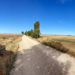 More endless fields and skies