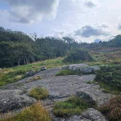 Rocks