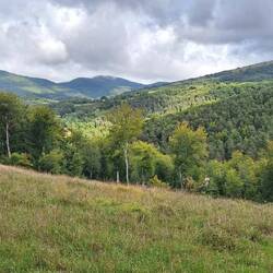 Some of what we missed in the clouds and mist yesterday.