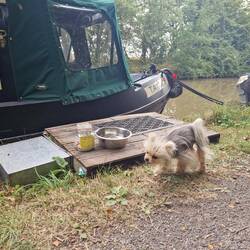 Another boater had left a jar of dog treats outside for passing pooches. Leo was very impressed!