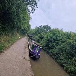 A quiet spot to moor