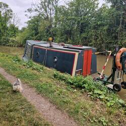 Cute little boat moored nearby