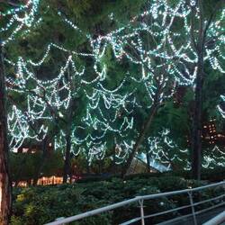 Ja, ist denn schon wieder Weihnachten?