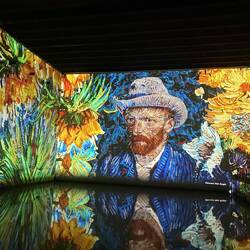 Van Gogh - total immersion