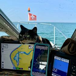I'm sure everyone's navigation display looks like this 😆