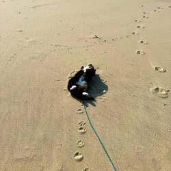 Luna got in on the sand action