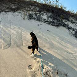 And climbed the dune